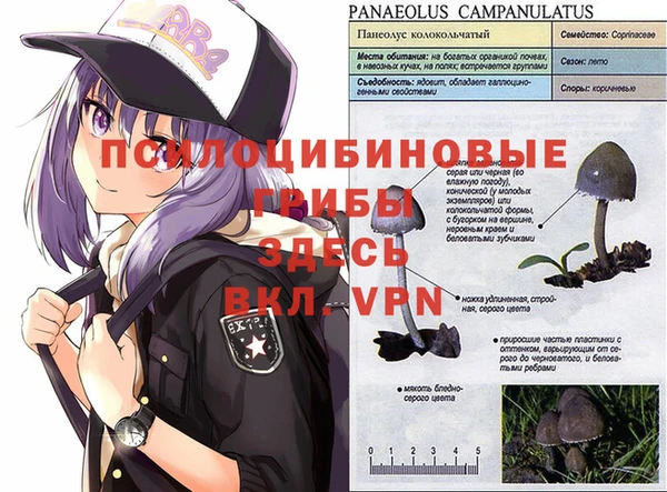 амфетамин Абаза